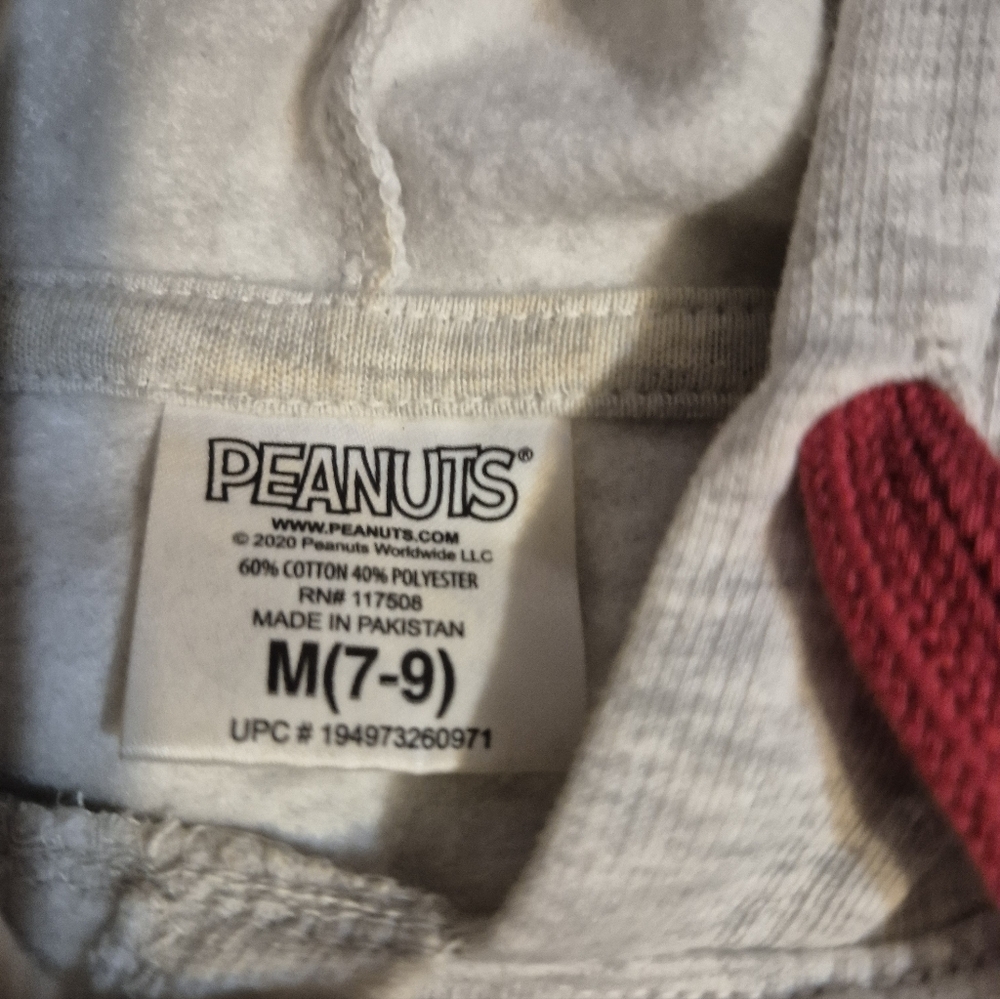 Gray Peanuts 'Good Grief' Hoodie - Picture 5 of 5